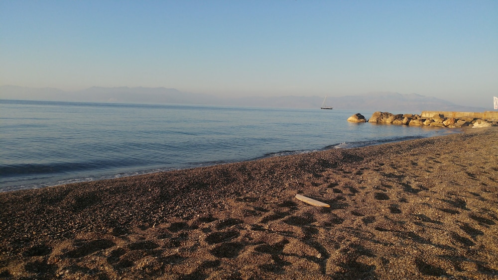 Photo 42