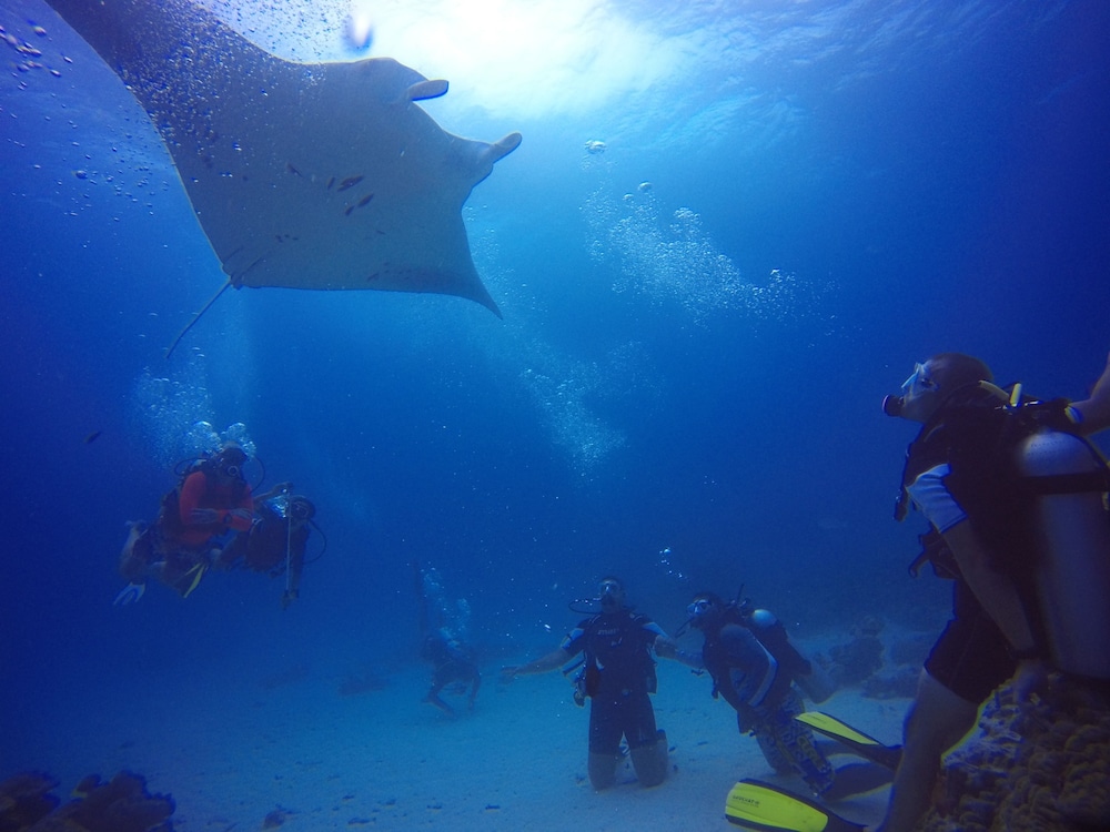 Equa Reef Maldives