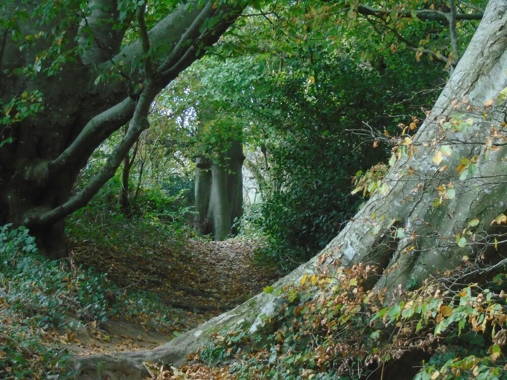 Photo 23
