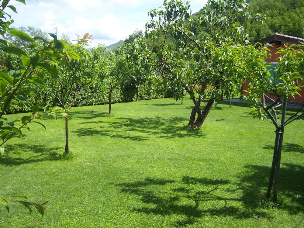 Photo 49