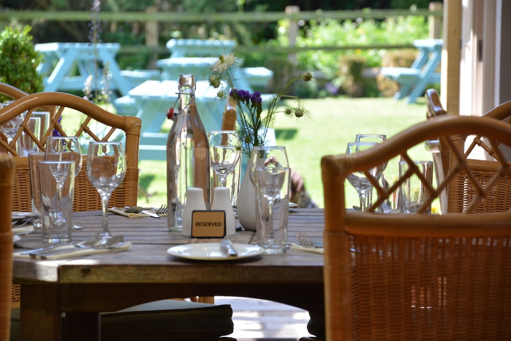 The Dolphin Inn