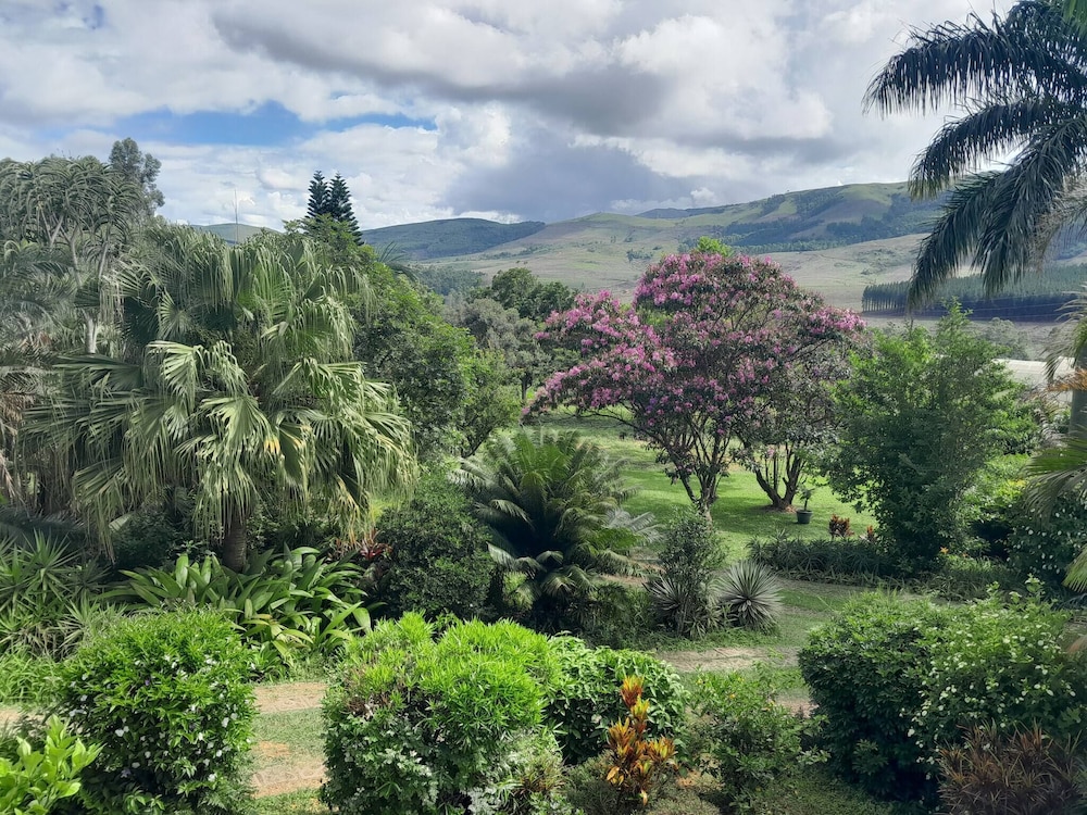 Rodo Mountain View 1
