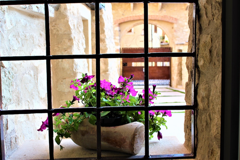 Arco di Vino - Tourist Location