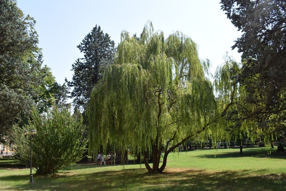 Photo 30