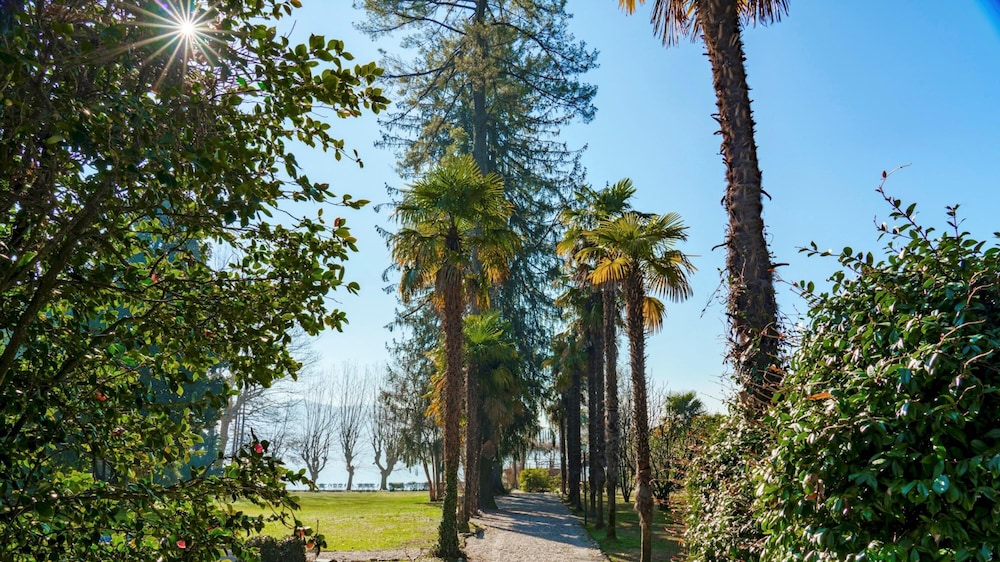 Photo 45