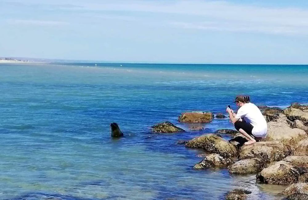 Unwind Coastal Calm Kangaroo Island