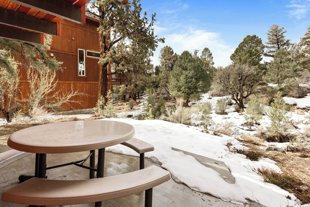 Forest Edge Retreat