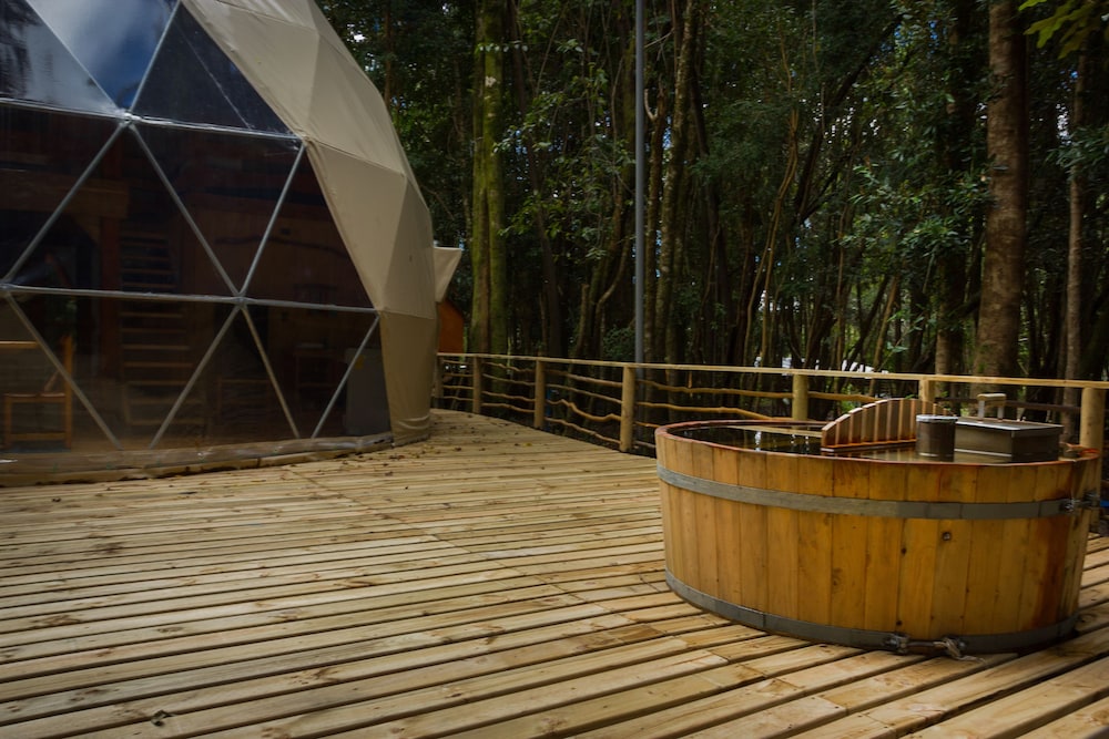 Cabañas Ensenada Bosque Nativo