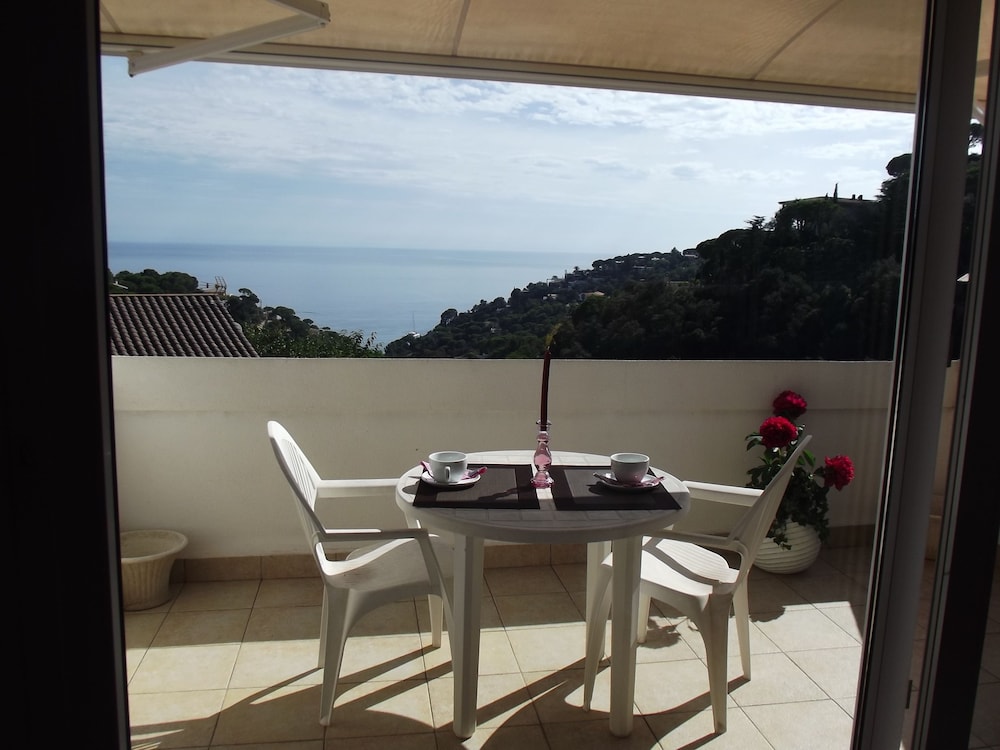 Danlux Yuta view 3