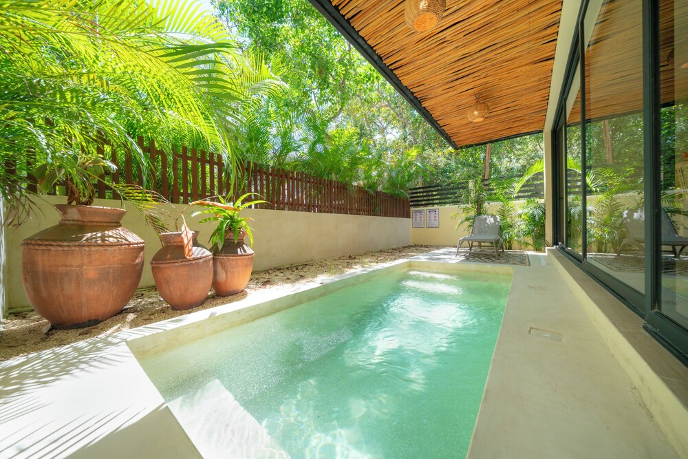 Cozy Apartment with Jungle View in Tulum