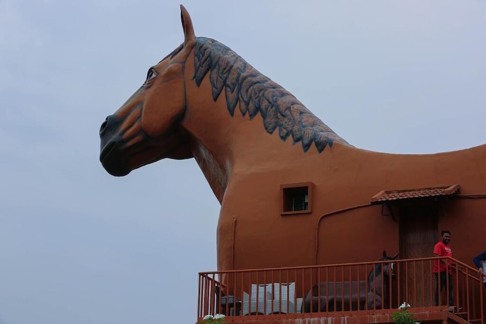 Champions Ranch