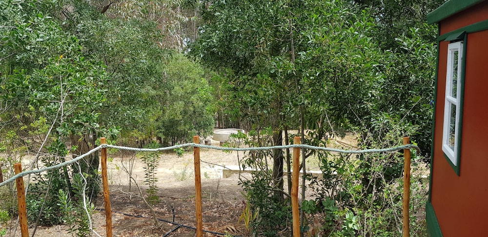 Tri Active Lodge