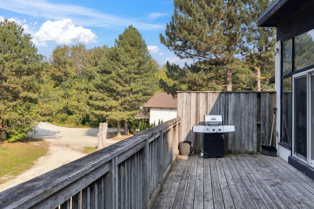 Birch View Chalets