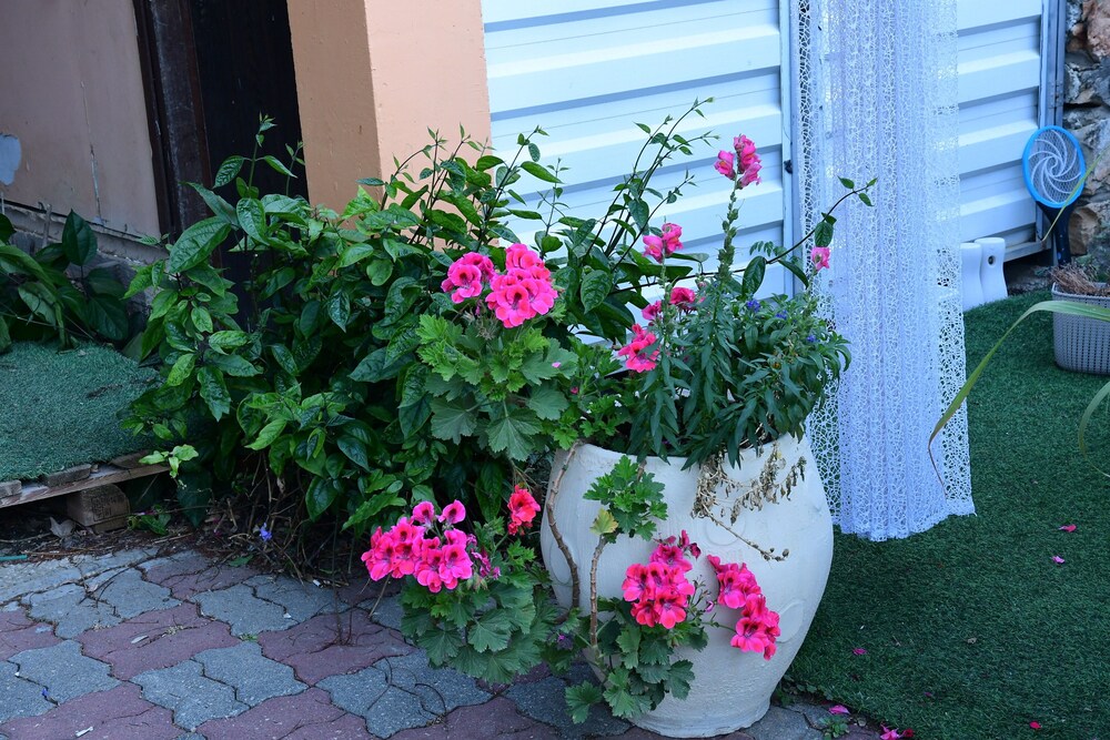 Photo 35