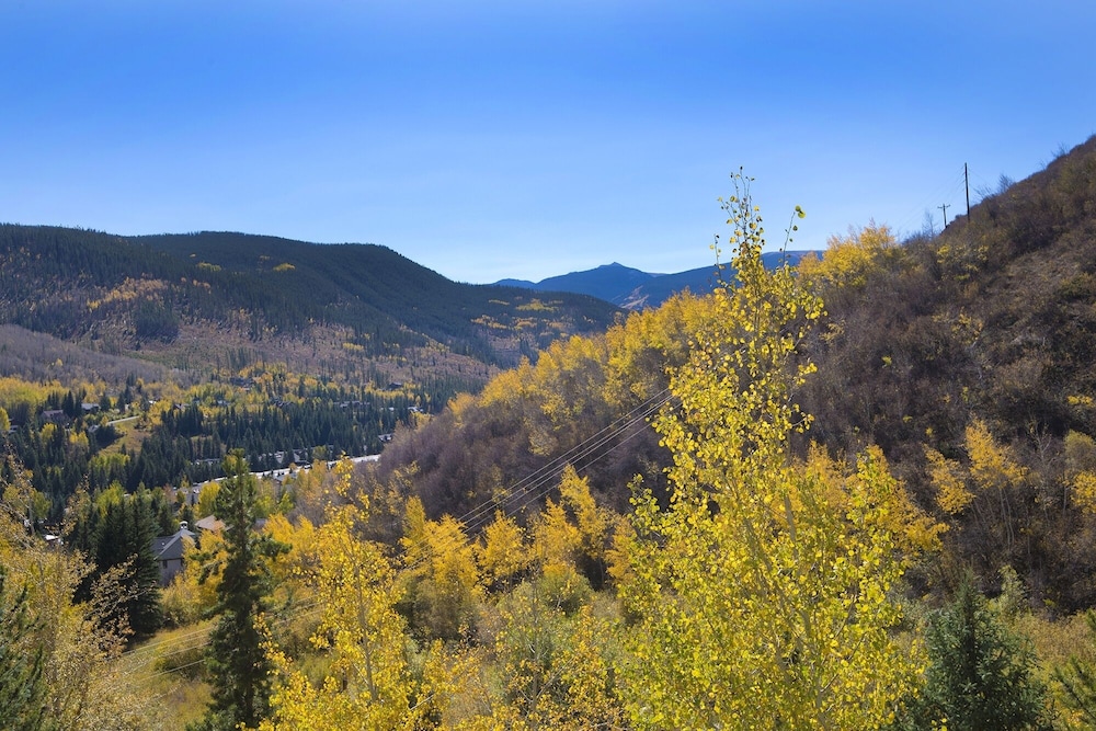 Vail Point