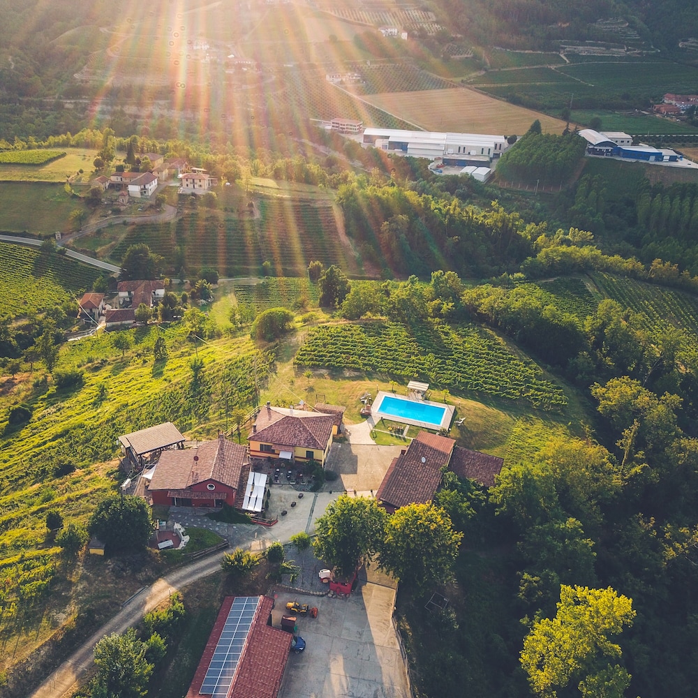 Tenuta MonteOliveto