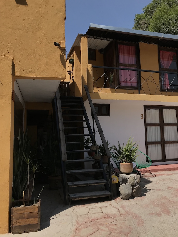 San Angel, photo 27