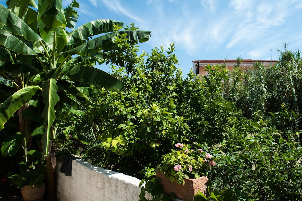 Studios Margarita