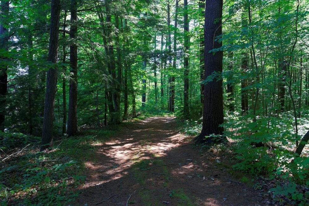 Welcome to Black River - Nature Lovers Paradise
