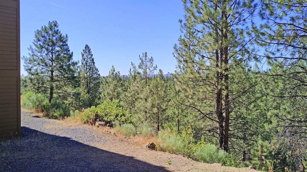 7th Mtn 611c 1 Bedroom Condo