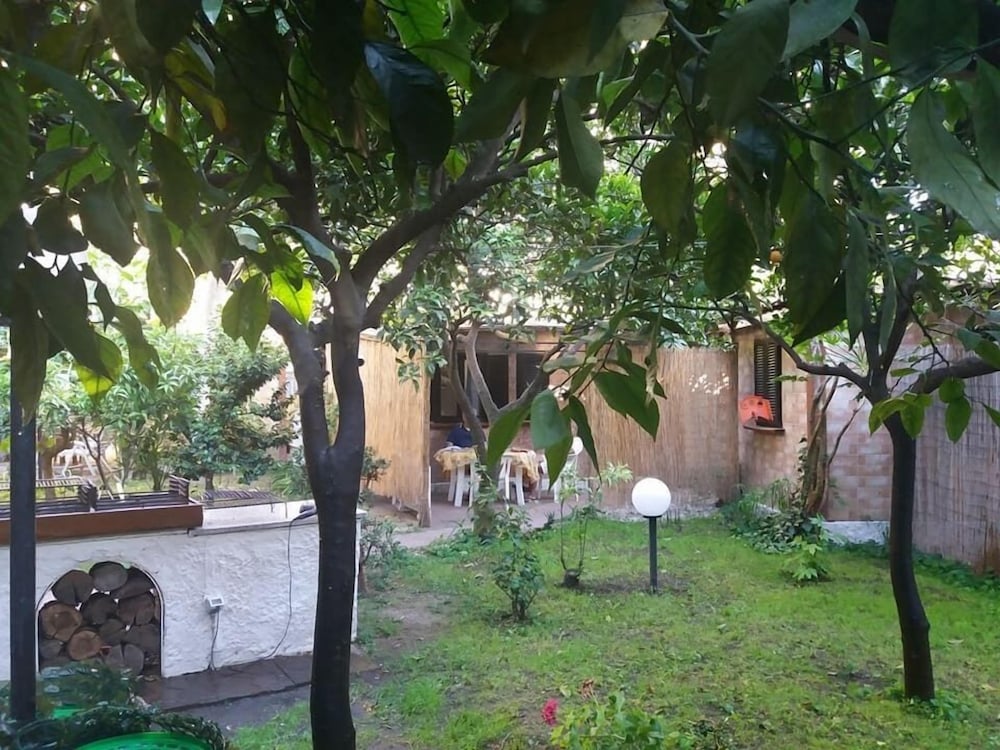 Photo 21