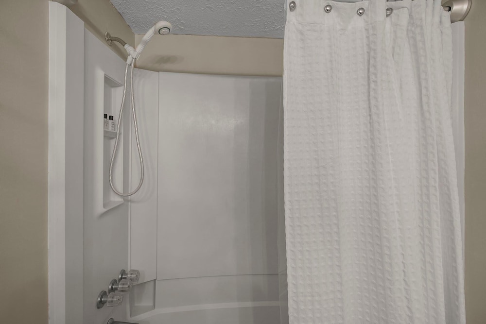 The Cove 205b