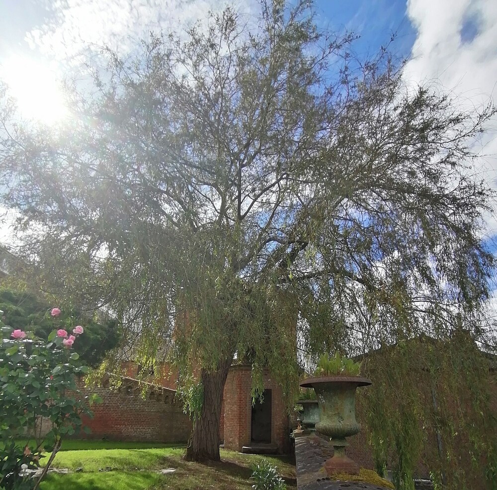 Le relais Napoléon