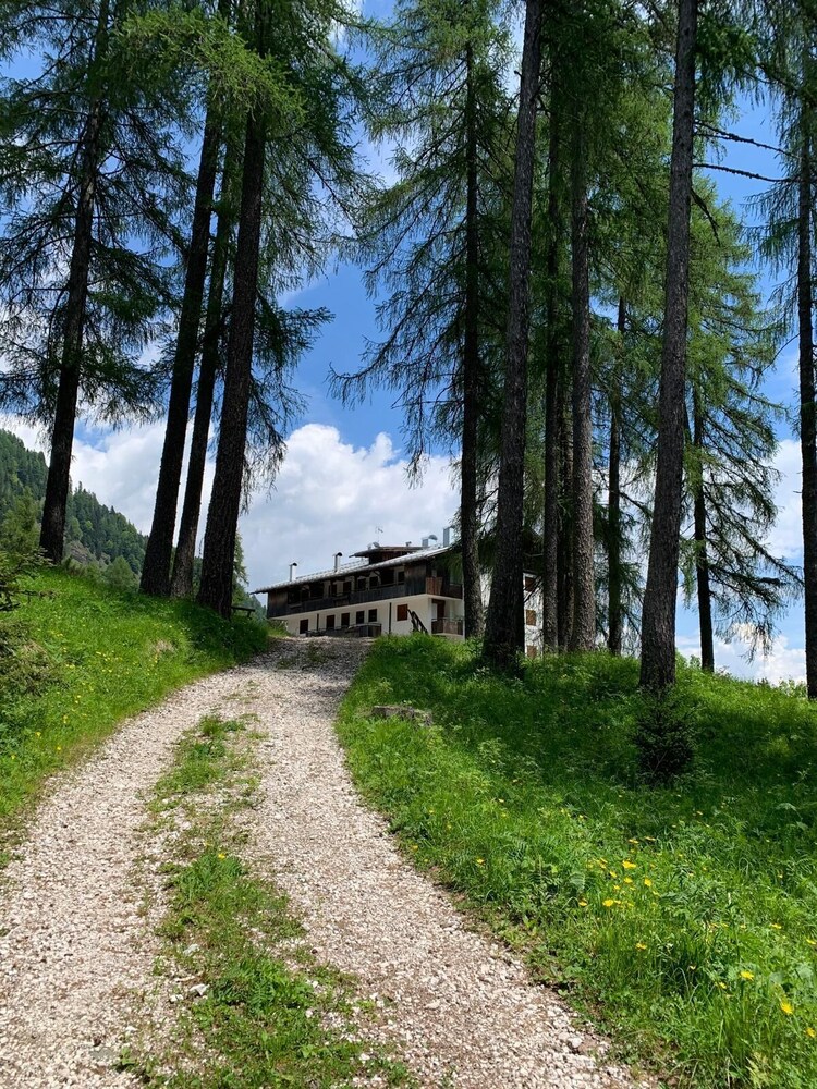 Dafne Dolomites