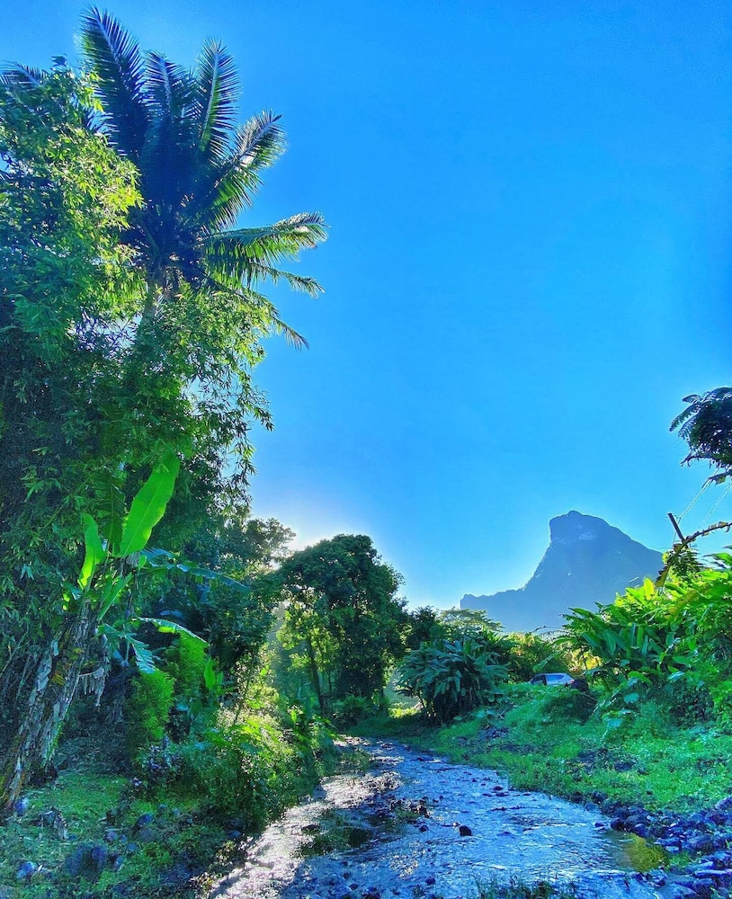 Heimanarii Walker Paoa view 4
