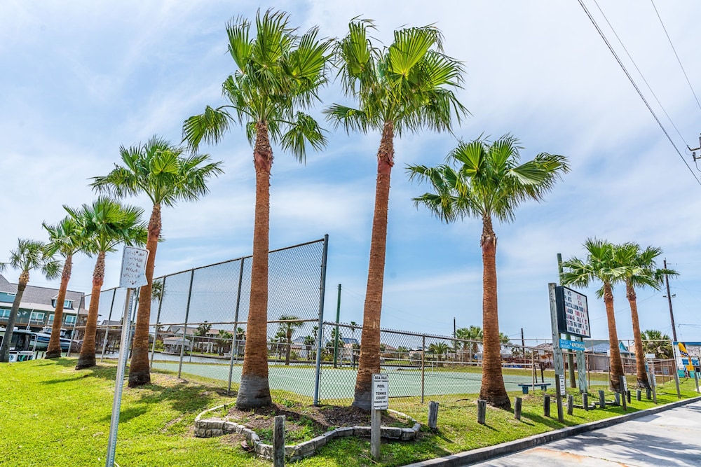 Reel Paradise in Galveston