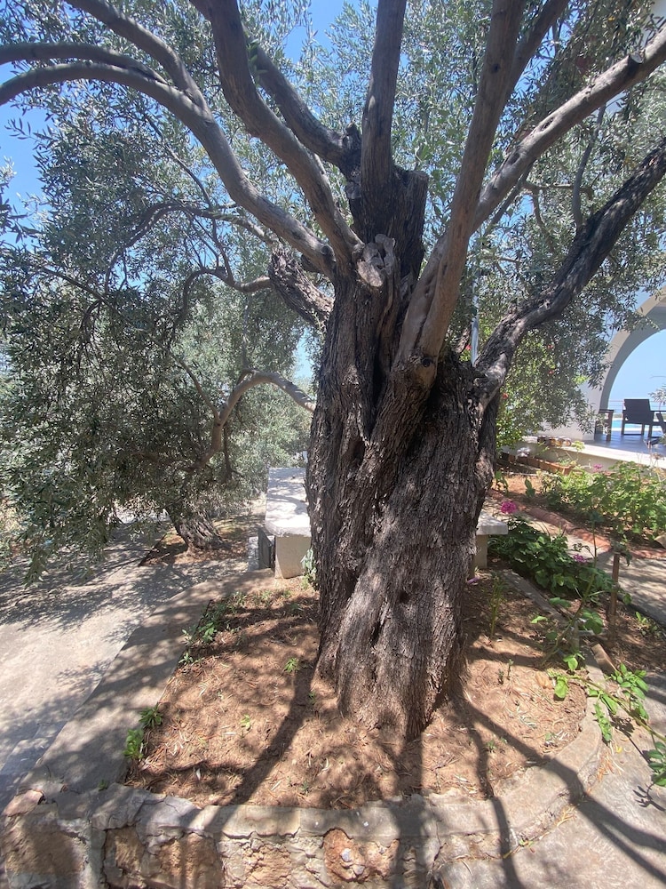 Photo 43