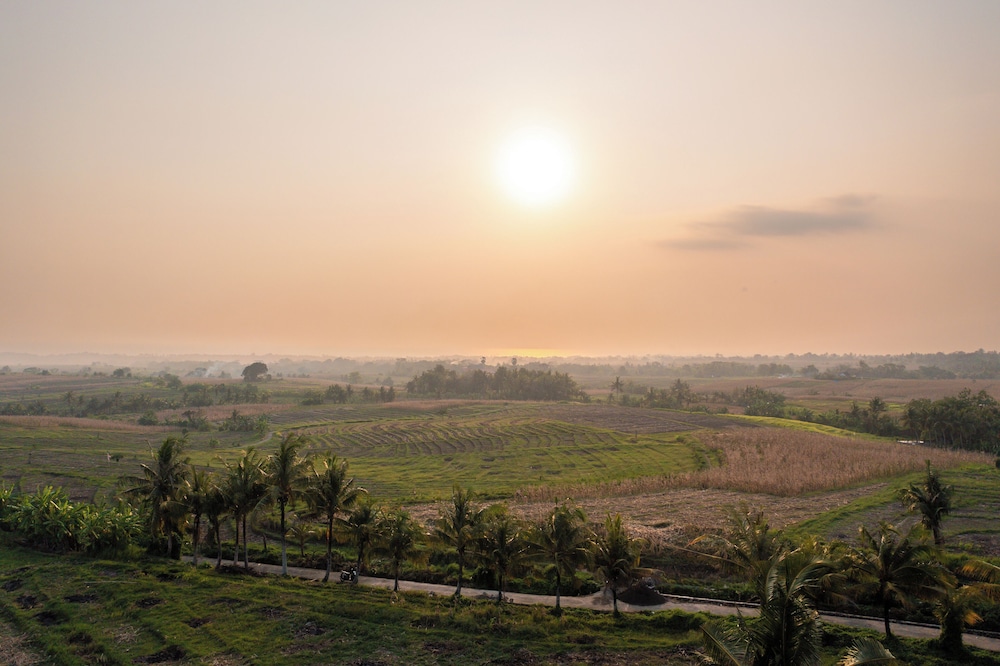 Tippo's Bali Villas