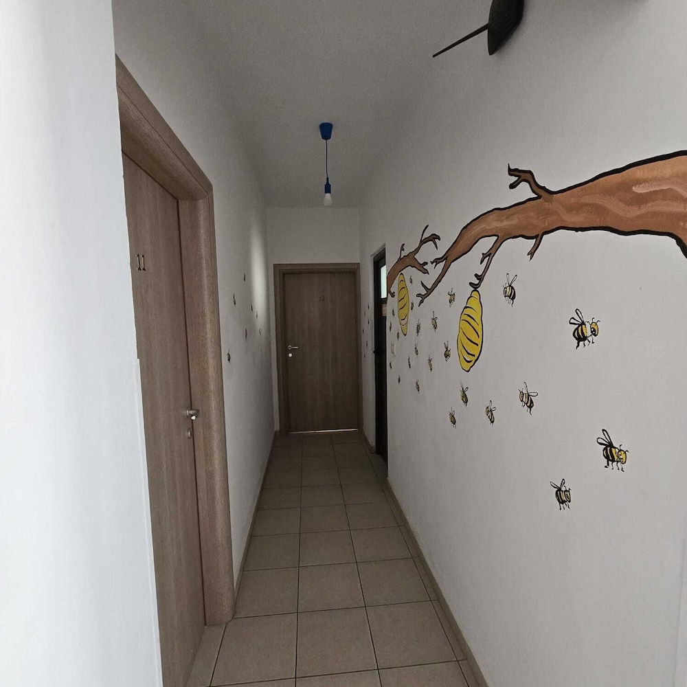 Lazy Roo Hostel Saranda