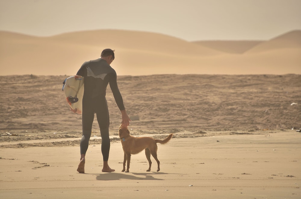Salty Jackal Surf Camp