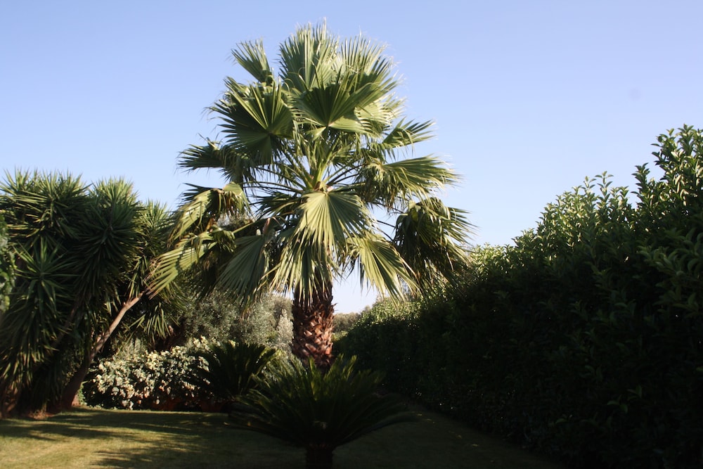 Bed&Breakfast Villa Mamma Grazia, photo 76