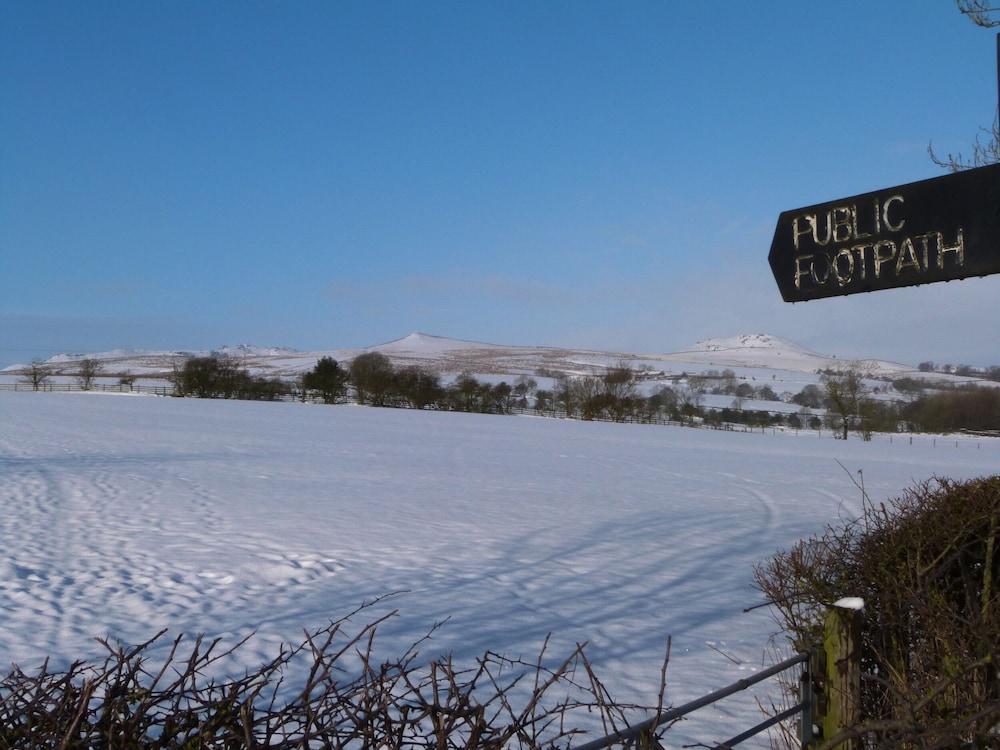 Crane Field Laithe