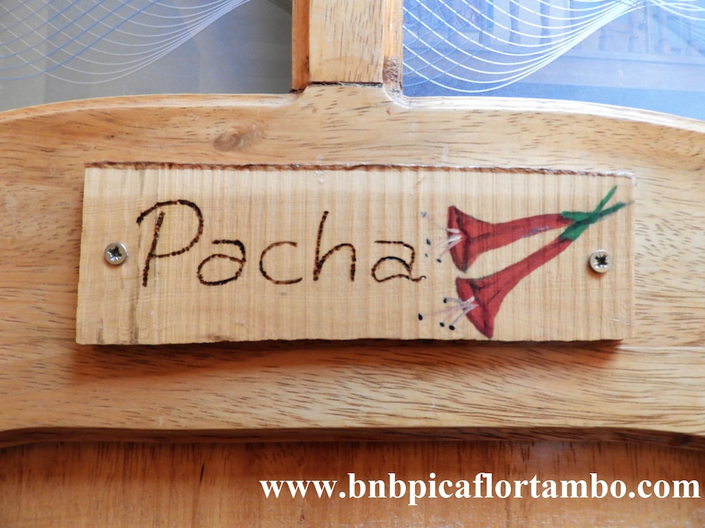 B&B Picaflor Tambo