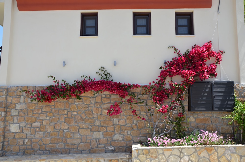 Helianthus Guesthouse