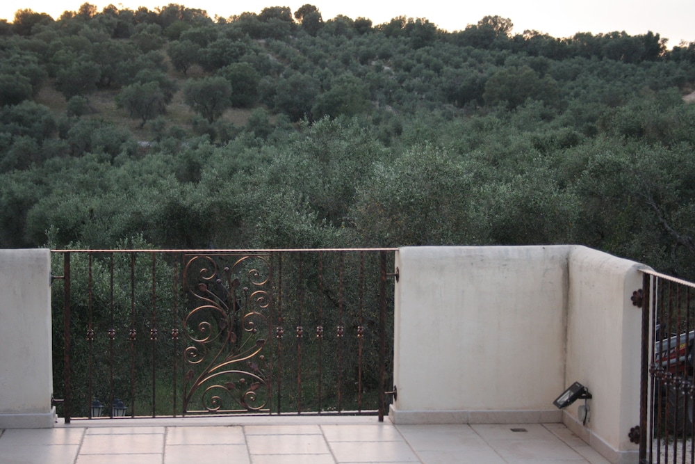 Torre Bruno
