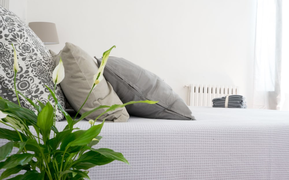 Taggarb B&B