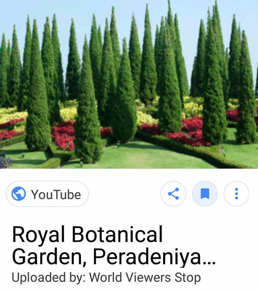 Miracle Villa