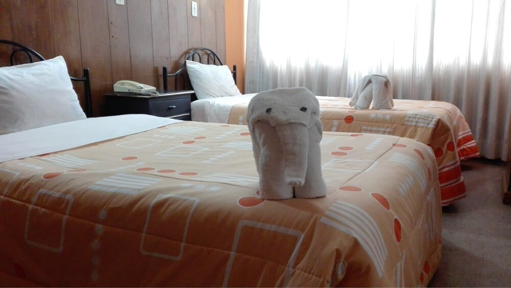 Puma Hostel Puno