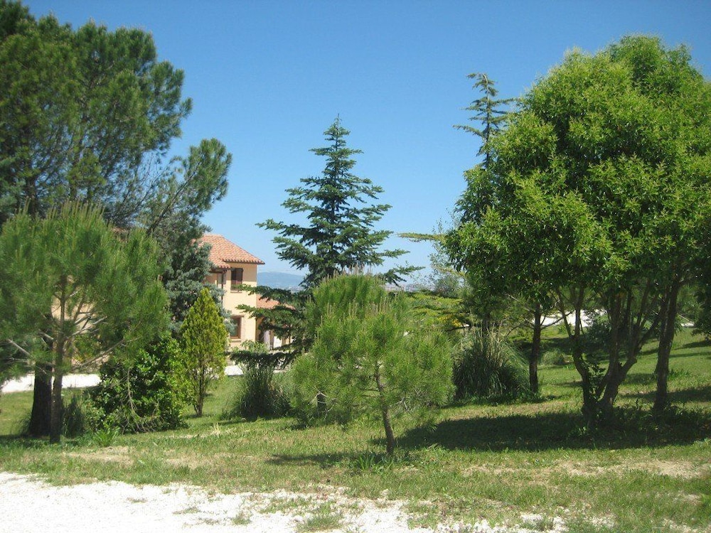 Photo 30