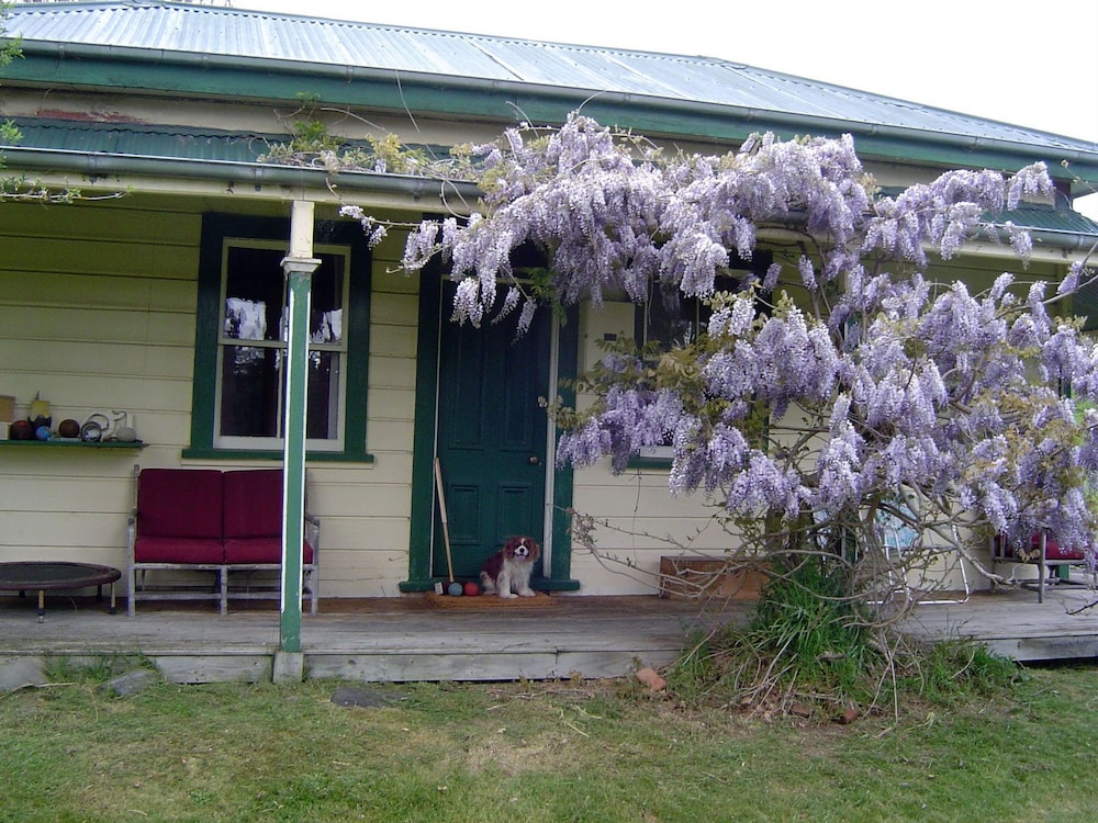 Photo 28