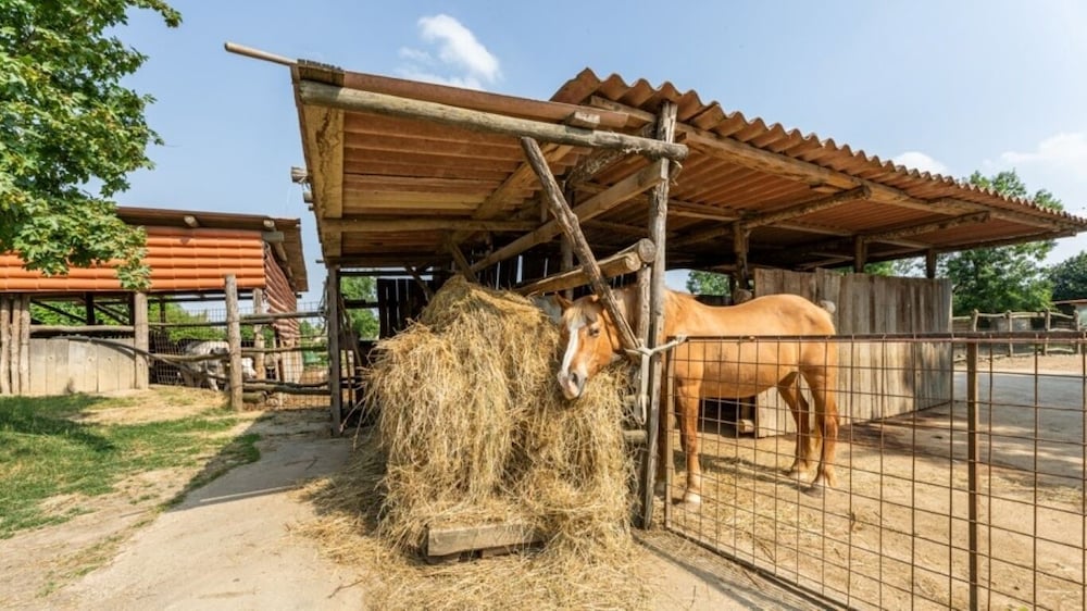 Agriturismo La Buona Terra Bio