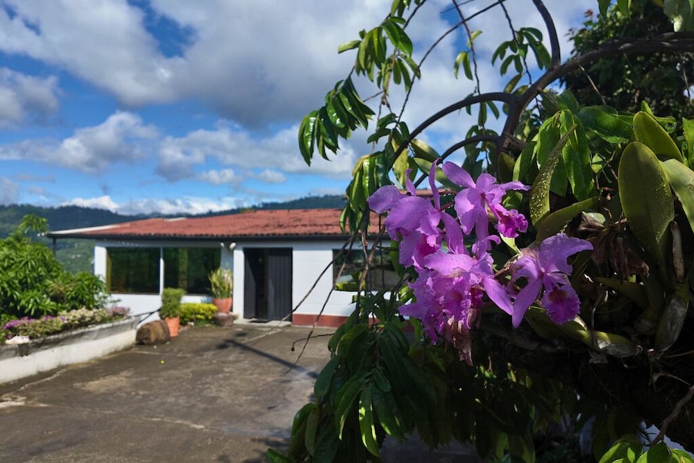 finca la Roca