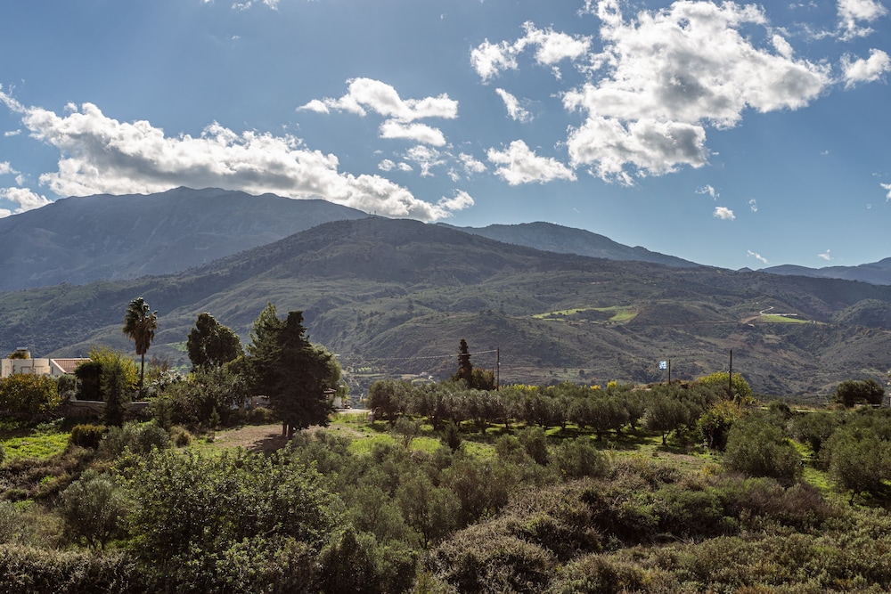 Levanda Villas photo 4