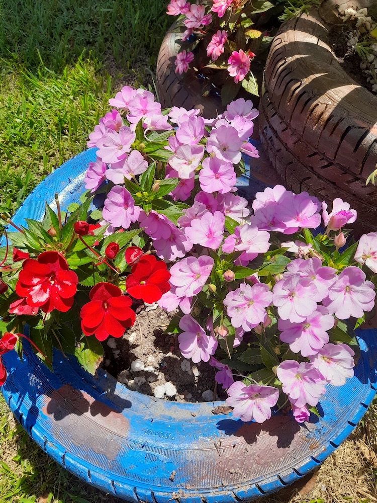 Pousada Flora Búzios