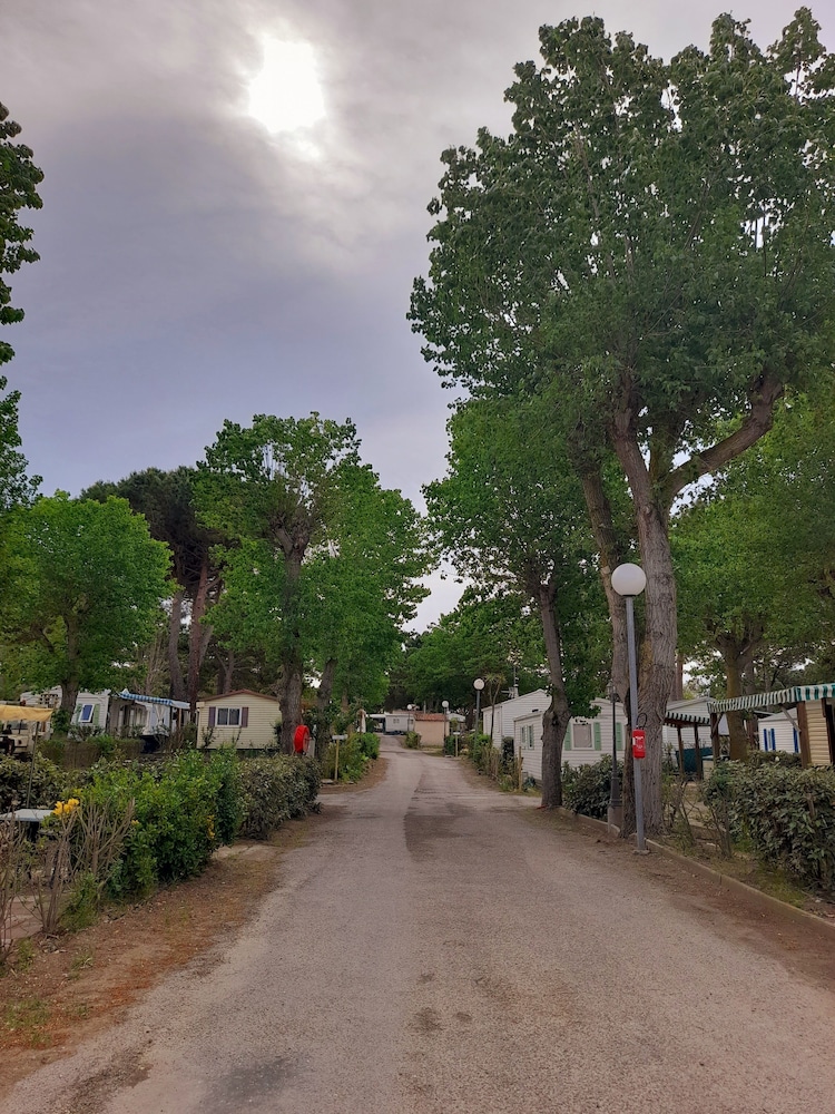 Camping les Jardins d'Agathe view 4