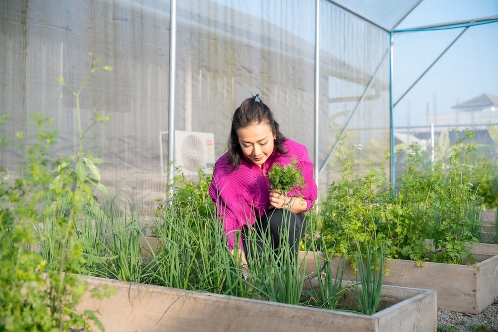 Baanmax Boutique Pet Resort & Lodge